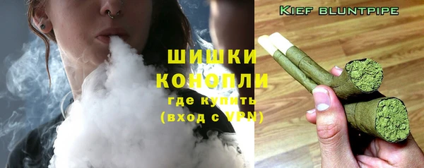 дмт Новодвинск