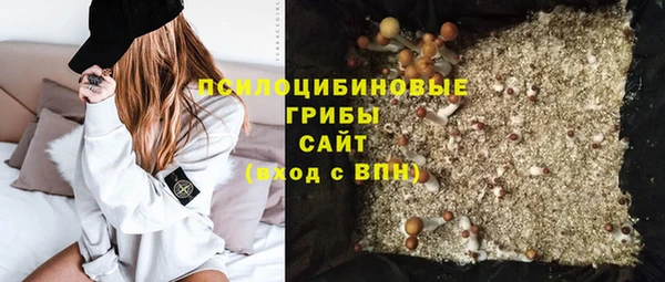 дживик Нея