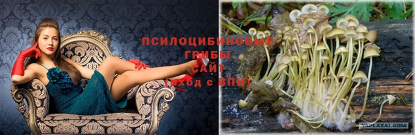 jwh Нефтекумск