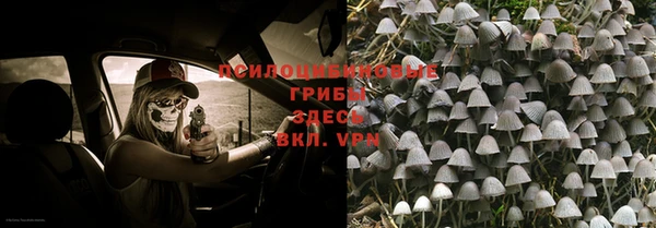 a pvp Гусев