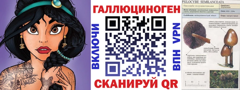 KRAKEN   Оса  Псилоцибиновые грибы Magic Shrooms  закладка 